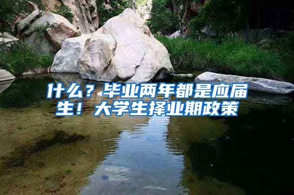 什么？毕业两年都是应届生！大学生择业期政策