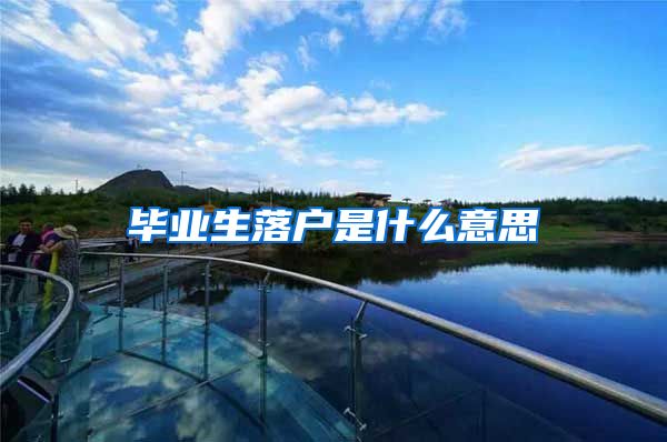 毕业生落户是什么意思