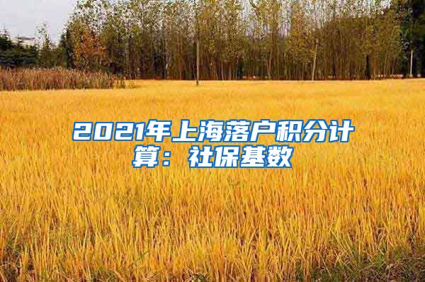 2021年上海落户积分计算：社保基数