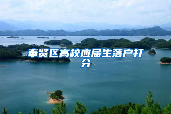奉贤区高校应届生落户打分