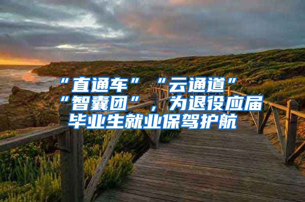 “直通车”“云通道”“智囊团”，为退役应届毕业生就业保驾护航