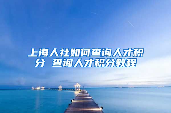 上海人社如何查询人才积分 查询人才积分教程