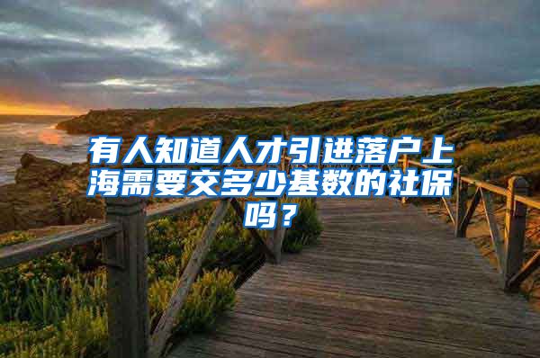 有人知道人才引进落户上海需要交多少基数的社保吗？