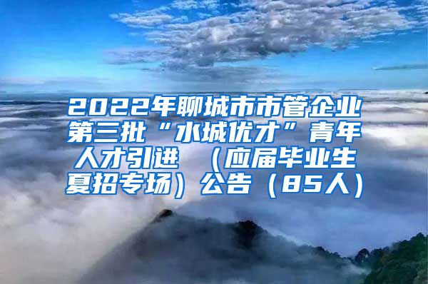 2022年聊城市市管企业第三批“水城优才”青年人才引进 （应届毕业生夏招专场）公告（85人）
