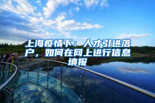 上海疫情下：人才引进落户，如何在网上进行信息填报