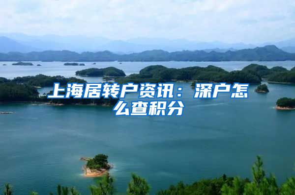 上海居转户资讯：深户怎么查积分