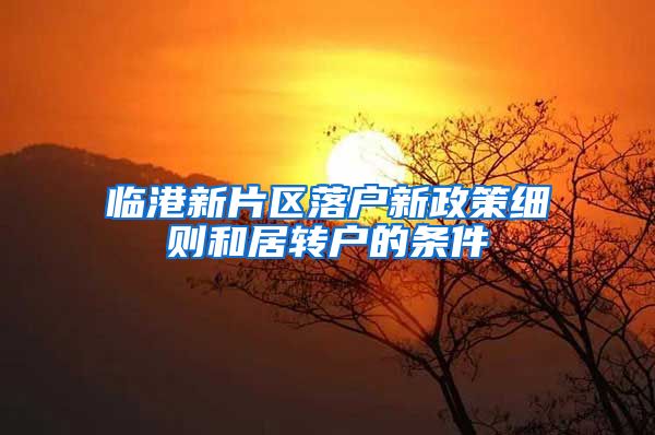 临港新片区落户新政策细则和居转户的条件