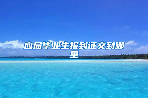 应届毕业生报到证交到哪里
