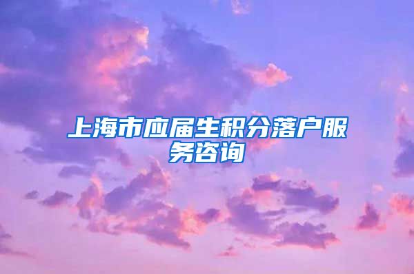 上海市应届生积分落户服务咨询