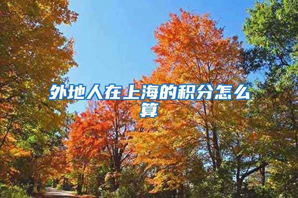 外地人在上海的积分怎么算
