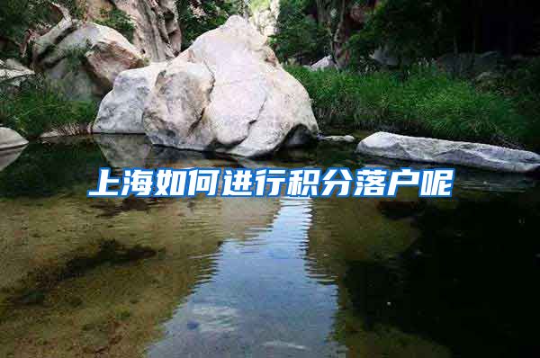 上海如何进行积分落户呢