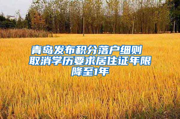 青岛发布积分落户细则 取消学历要求居住证年限降至1年