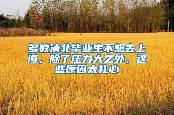 多数清北毕业生不想去上海，除了压力大之外，这些原因太扎心
