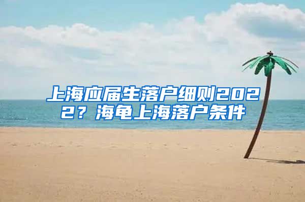 上海应届生落户细则2022？海龟上海落户条件
