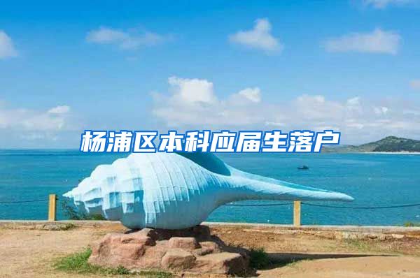 杨浦区本科应届生落户
