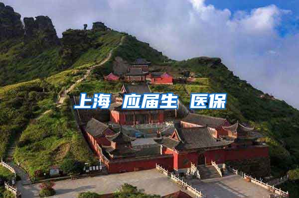 上海 应届生 医保