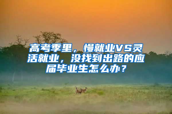 高考季里，慢就业VS灵活就业，没找到出路的应届毕业生怎么办？