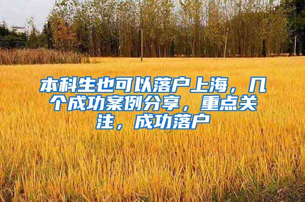 本科生也可以落户上海，几个成功案例分享，重点关注，成功落户