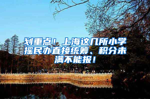划重点！上海这几所小学摇民办直接统筹、积分未满不能报！