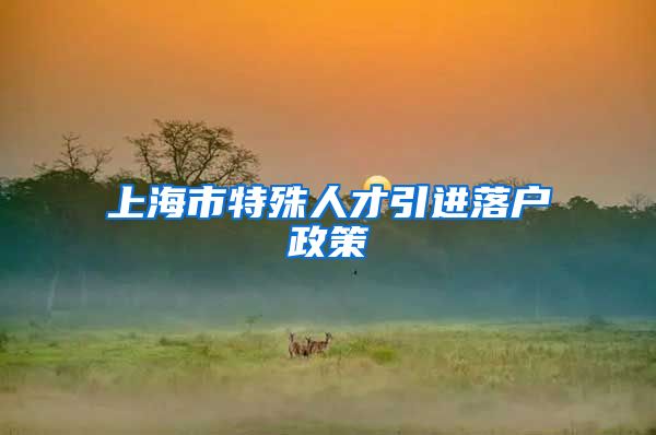 上海市特殊人才引进落户政策