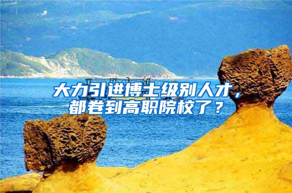 大力引进博士级别人才，都卷到高职院校了？