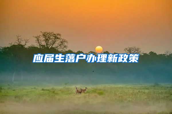 应届生落户办理新政策