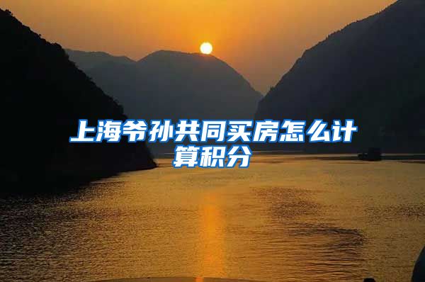 上海爷孙共同买房怎么计算积分