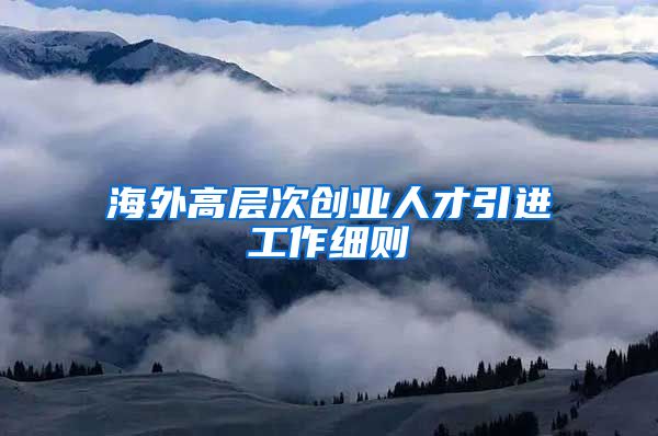 海外高层次创业人才引进工作细则