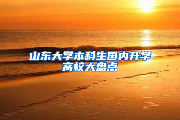 山东大学本科生国内升学高校大盘点