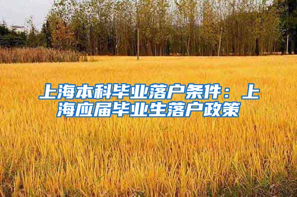 上海本科毕业落户条件：上海应届毕业生落户政策
