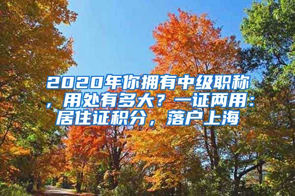 2020年你拥有中级职称，用处有多大？一证两用：居住证积分，落户上海