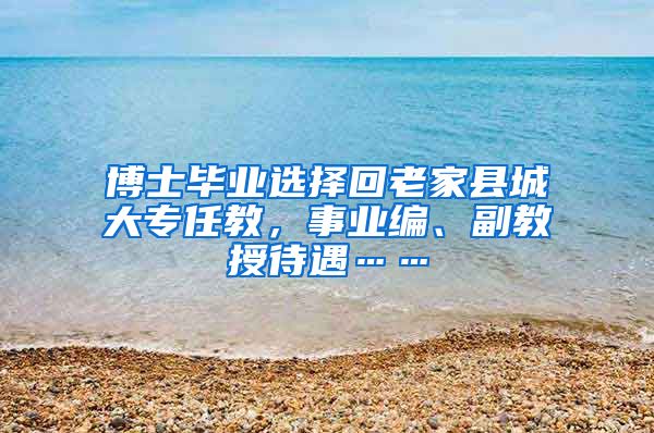 博士毕业选择回老家县城大专任教，事业编、副教授待遇……