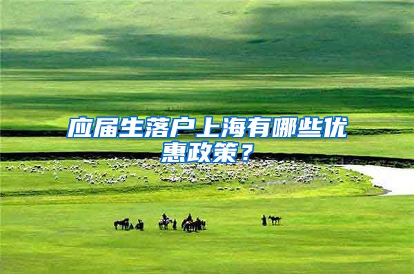 应届生落户上海有哪些优惠政策？