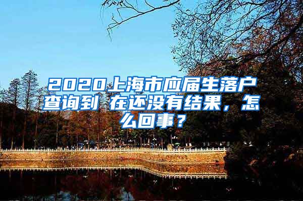 2020上海市应届生落户查询到現在还没有结果，怎么回事？