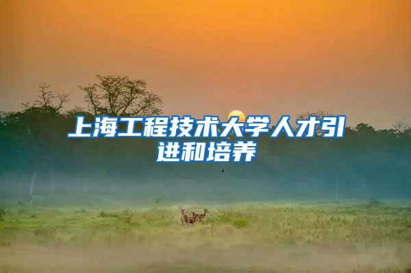 上海工程技术大学人才引进和培养