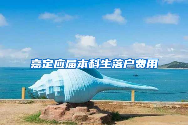 嘉定应届本科生落户费用