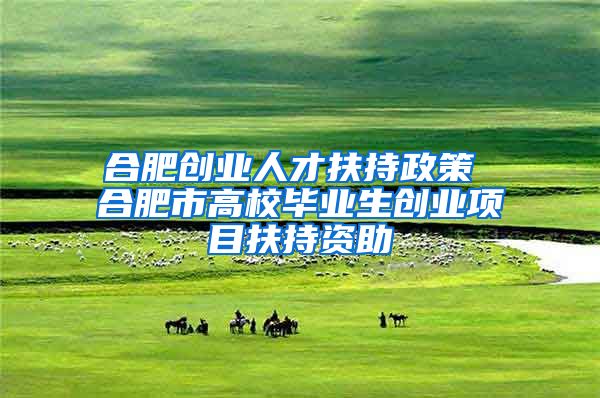 合肥创业人才扶持政策 合肥市高校毕业生创业项目扶持资助