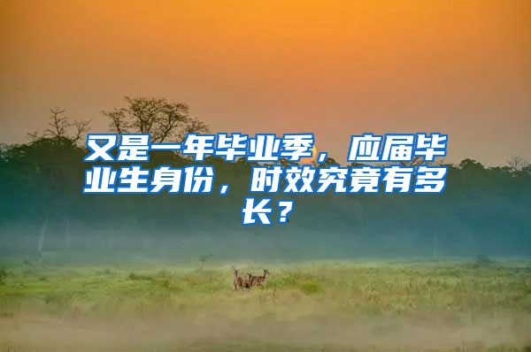 又是一年毕业季，应届毕业生身份，时效究竟有多长？