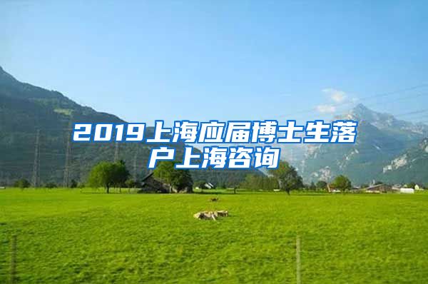 2019上海应届博士生落户上海咨询