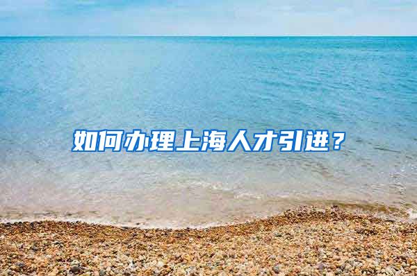 如何办理上海人才引进？