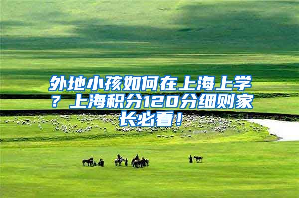 外地小孩如何在上海上学？上海积分120分细则家长必看！