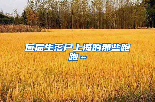 应届生落户上海的那些跑跑～