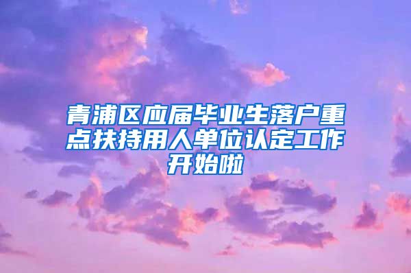 青浦区应届毕业生落户重点扶持用人单位认定工作开始啦