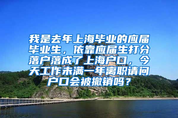 我是去年上海毕业的应届毕业生，依靠应届生打分落户落成了上海户口，今天工作未满一年离职请问户口会被撤销吗？