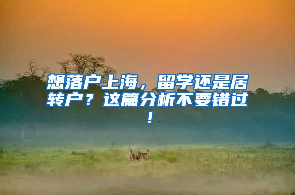 想落户上海，留学还是居转户？这篇分析不要错过！