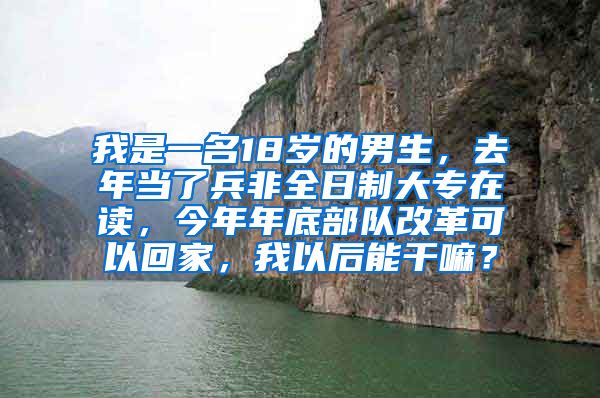 我是一名18岁的男生，去年当了兵非全日制大专在读，今年年底部队改革可以回家，我以后能干嘛？