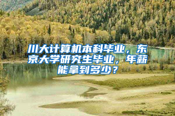 川大计算机本科毕业，东京大学研究生毕业，年薪能拿到多少？