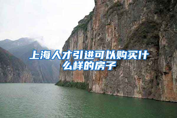 上海人才引进可以购买什么样的房子