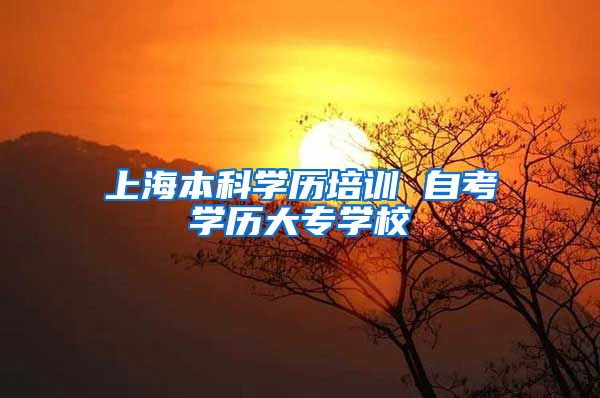 上海本科学历培训 自考学历大专学校