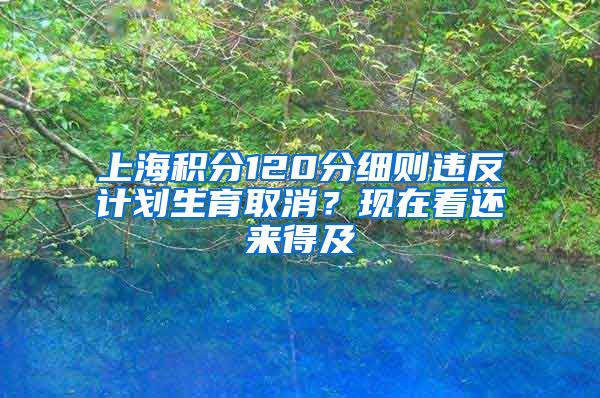 上海积分120分细则违反计划生育取消？现在看还来得及